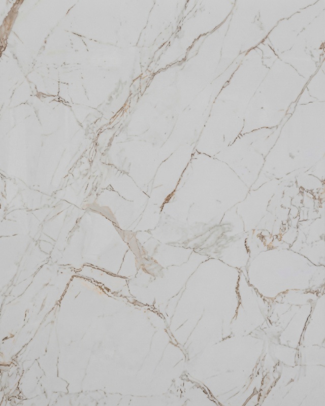 Panel decorativo PVC Calacatta Brown - Brillo UV Alto